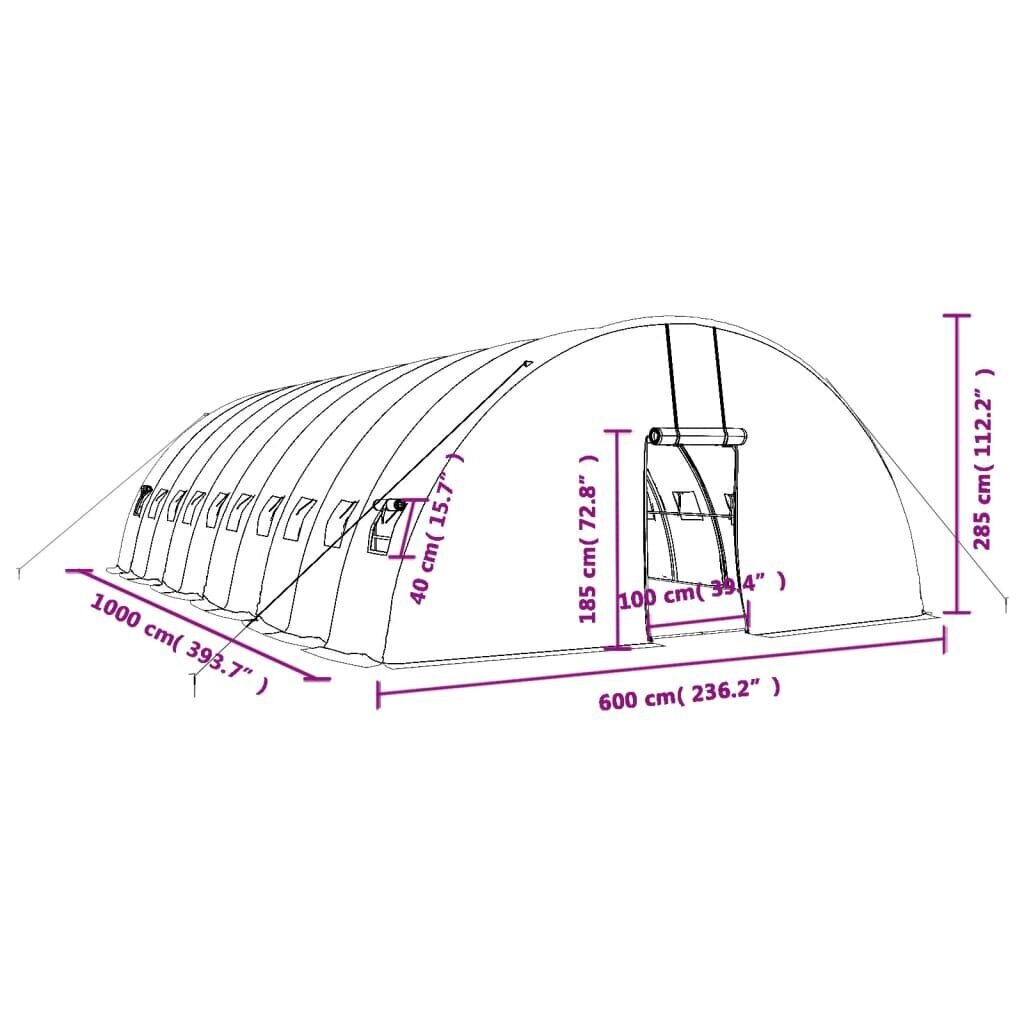 Teräsrunkoinen kasvihuone vidaXL, 10x6x2,85m, 60m² hinta ja tiedot | Kasvihuoneet | hobbyhall.fi