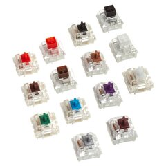 Glorious PC Gaming Race Mx Switch Sample Pack hinta ja tiedot | Näppäimistöt | hobbyhall.fi