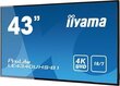 Iiyama LE4340UHS-B1 hinta ja tiedot | Näytöt | hobbyhall.fi