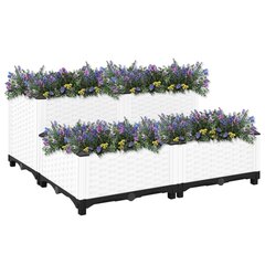 Korkea sänky ProGarden, 80x80x38 cm hinta ja tiedot | Kukkaruukut | hobbyhall.fi