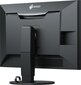 Eizo CG319X hinta ja tiedot | Näytöt | hobbyhall.fi