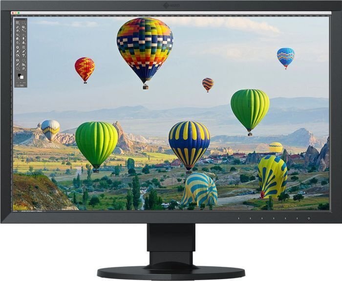 Eizo CS2410-BK hinta ja tiedot | Näytöt | hobbyhall.fi