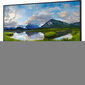 Dell 24'' Full HD IPS näyttö P2421 hinta ja tiedot | Näytöt | hobbyhall.fi