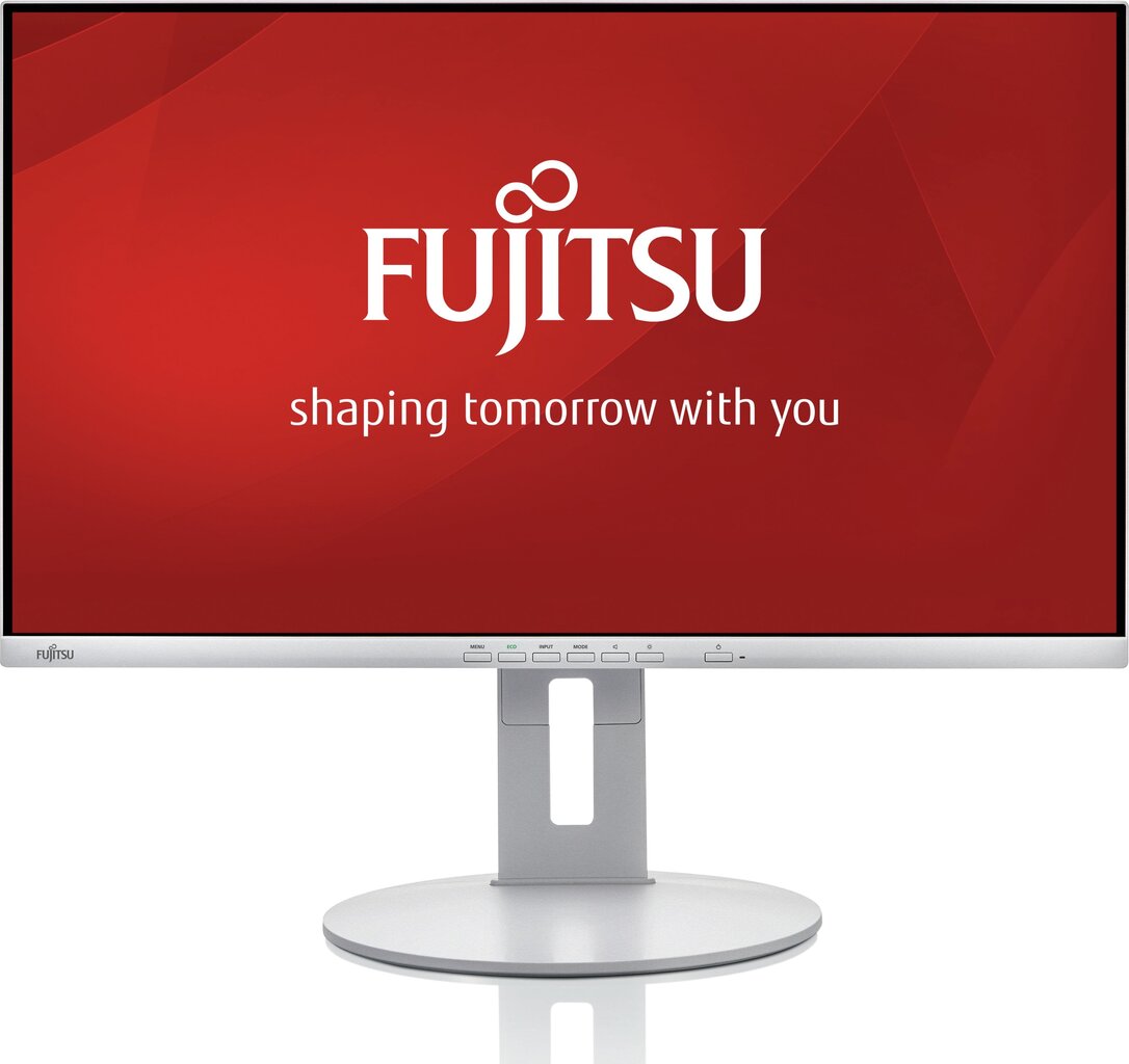 Näyttö Fujitsu S26361-K1694-V140 hinta ja tiedot | Näytöt | hobbyhall.fi