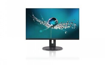 Näyttö Fujitsu S26361-K1696-V160 hinta ja tiedot | Näytöt | hobbyhall.fi