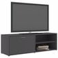 TV-kaappi, 120x34x37 cm, harmaa hinta ja tiedot | TV-tasot | hobbyhall.fi