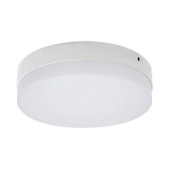 ROBIN LED c 24w nw 2160 lm katto smd LED-valaisin Strühm 55x220x220mm hinta ja tiedot | Kattovalaisimet | hobbyhall.fi