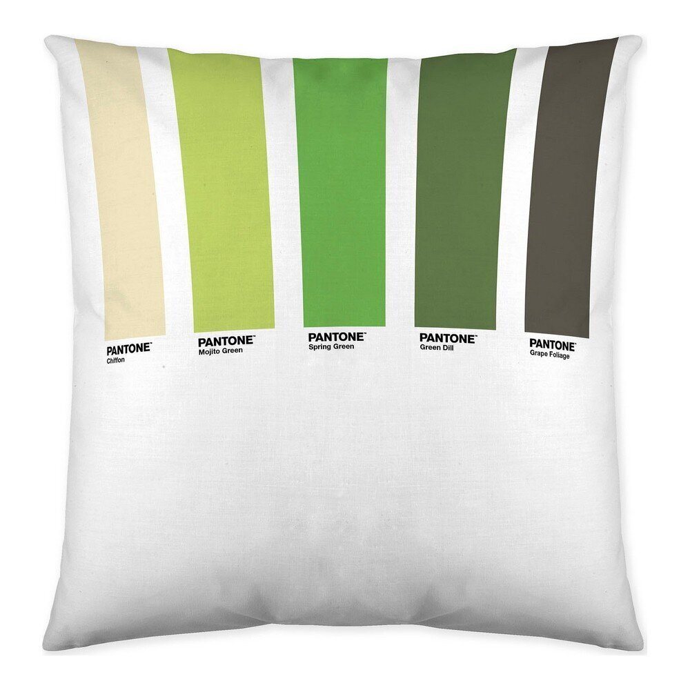 Leveä tyynynpäällinen, 50 x 50 cm hinta ja tiedot | Koristetyynyt ja tyynynpäälliset | hobbyhall.fi