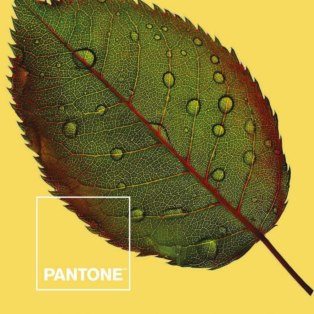 Pantone vuodevaatteet setti, 160x270cm, 2 osaa hinta ja tiedot | Pussilakanat ja tyynyliinat | hobbyhall.fi