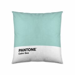 Tyynynpäällinen Calm Sea Pantone hinta ja tiedot | Koristetyynyt ja tyynynpäälliset | hobbyhall.fi