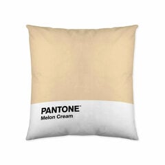 Tyynynpäällinen Melon Cream Pantone hinta ja tiedot | Koristetyynyt ja tyynynpäälliset | hobbyhall.fi