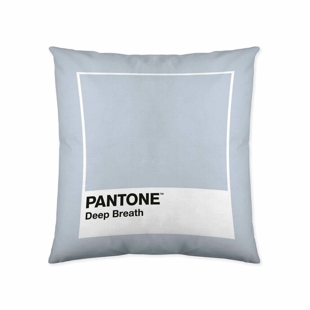 Tyynynpäällinen Deep Breath Pantone hinta ja tiedot | Koristetyynyt ja tyynynpäälliset | hobbyhall.fi