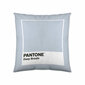 Tyynynpäällinen Deep Breath Pantone hinta ja tiedot | Koristetyynyt ja tyynynpäälliset | hobbyhall.fi