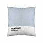 Tyynynpäällinen Deep Breath Pantone hinta ja tiedot | Koristetyynyt ja tyynynpäälliset | hobbyhall.fi