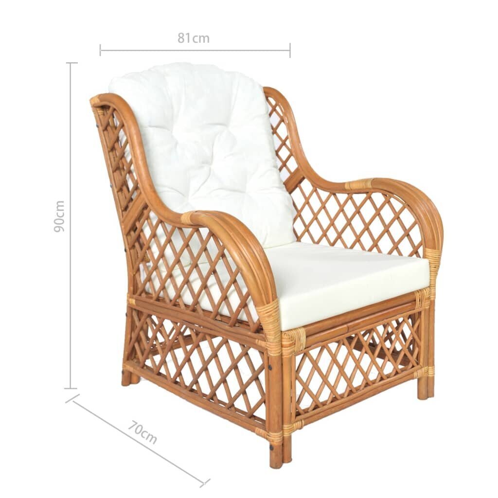 Tuoli tyynyllä, ruskea hinta ja tiedot | Puutarhatuolit | hobbyhall.fi