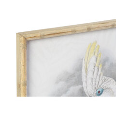 Kuva DKD Home Decor Bird, 50 x 2,8 x 70 cm, 2 kpl. hinta ja tiedot | Taulut | hobbyhall.fi