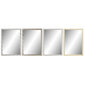 Seinäpeili DKD Home Decor Glass Natural Harmaa Ruskea Tummanharmaa PS 4 kpl. Kasvin lehti (56 x 2 x 76 cm) hinta ja tiedot | Peilit | hobbyhall.fi