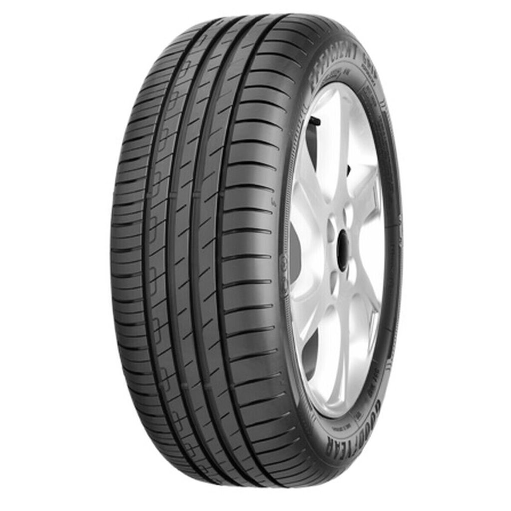 Auton rengas Goodyear EFFICIENTGRIP PERFORMANCE 195/55HR16 hinta ja tiedot | Kesärenkaat | hobbyhall.fi