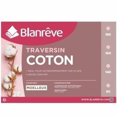 Blanreve tyyny hinta ja tiedot | Blanreve Kodintekstiilit | hobbyhall.fi