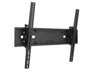 MB UNIVERSAL WALLMOUNT TILT SD MAX 800X600, MAX 125KG hinta ja tiedot | Multibracket Kodinkoneet ja kodinelektroniikka | hobbyhall.fi