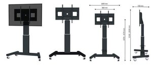 NEOMOUNTS M2500BLACK motorized FloorStan hinta ja tiedot | Newstar Kodinkoneet ja kodinelektroniikka | hobbyhall.fi