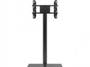 MB DISPLAY STAND 180 W. FLOORBASE SINGLE hinta ja tiedot | TV-seinätelineet | hobbyhall.fi