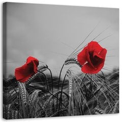 Canvas Print, punaiset unikot ja vilja /40x40 hinta ja tiedot | Taulut | hobbyhall.fi