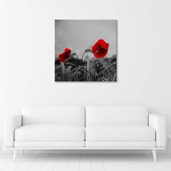 Canvas Print, punaiset unikot ja vilja /40x40 hinta ja tiedot | Taulut | hobbyhall.fi