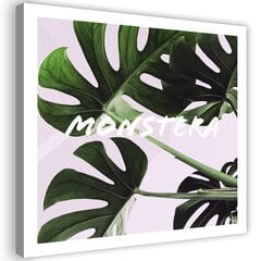 Canvas Print, eksoottiset lehdet - Monstera /30x30 hinta ja tiedot | Taulut | hobbyhall.fi