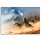 Canvas Print, Sudet 120x80 hinta ja tiedot | Taulut | hobbyhall.fi