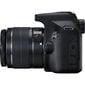 Canon EOS 2000D -järjestelmäkamera + 18-135mm IS Kit hinta ja tiedot | Kamerat | hobbyhall.fi