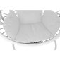 Hanging garden armchair DKD Home Decor 100 x 120 x 195 cm 110 x 110 x 210 cm synteettinen rottinki Alumiini Valkoinen hinta ja tiedot | Puutarhatuolit | hobbyhall.fi