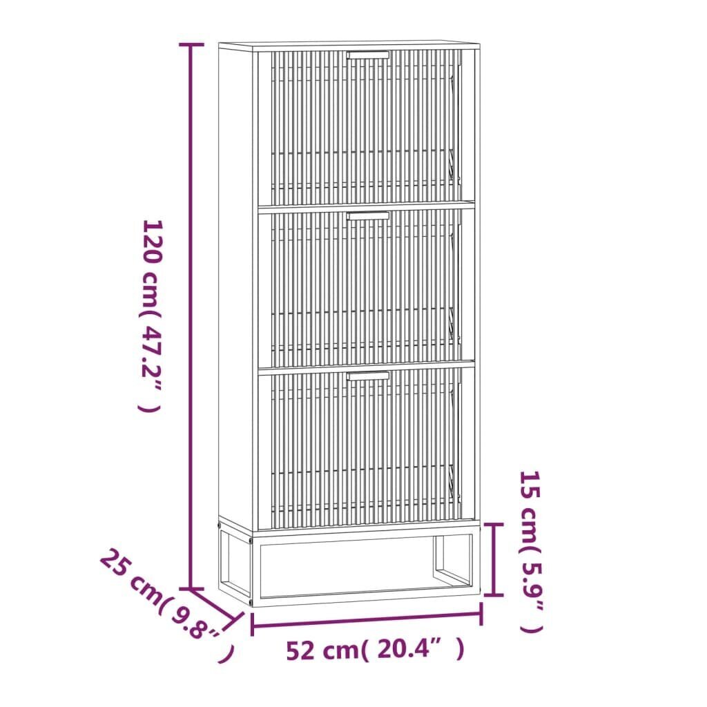 vidaXL Kenkäkaappi, 52x25x120cm, käsitelty puu hinta ja tiedot | Kenkäkaapit ja -hyllyt | hobbyhall.fi