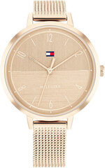 Tommy Hilfiger Firenze 1782580 hinta ja tiedot | Naisten kellot | hobbyhall.fi