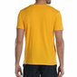 Miesten t-paita John Smith S64102896, keltainen hinta ja tiedot | Miesten T-paidat | hobbyhall.fi