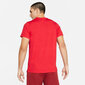 Nike T-paita Nk Df Superset Top Ss Coral CZ1219 814 CZ1219 814/S hinta ja tiedot | Miesten T-paidat | hobbyhall.fi