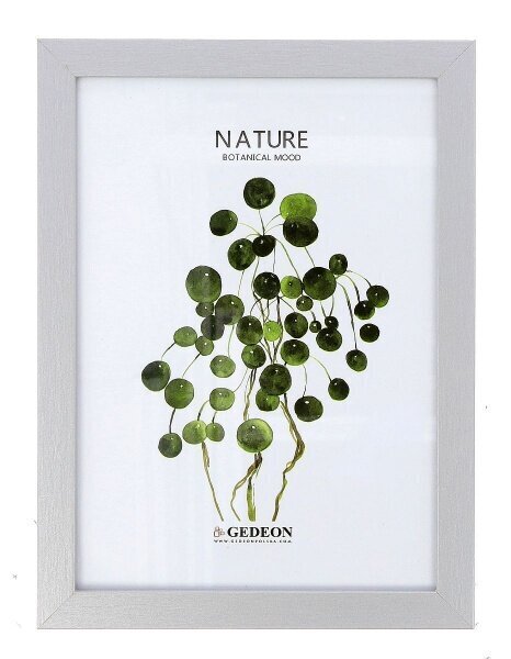 Valokuvakehys Nature D315 15x21 cm hinta ja tiedot | Valokuva-albumit -ja kehykset | hobbyhall.fi