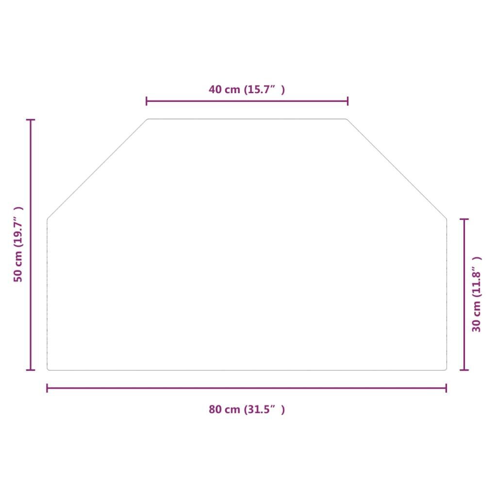 Takkalasipaneeli vidaXL läpinäkyvä väri 80x50cm hinta ja tiedot | Takat | hobbyhall.fi