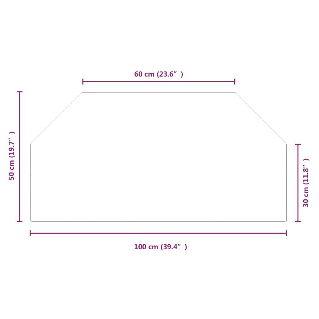 Takkalasipaneeli vidaXL läpinäkyvä väri 100x50cm hinta ja tiedot | Takat | hobbyhall.fi