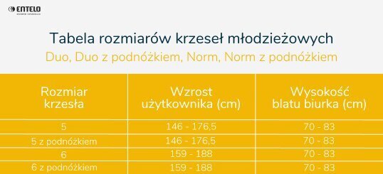 Nuorten tuoli Norm valkoinen Visto 03 koko 5 hinta ja tiedot | Toimistotuolit | hobbyhall.fi