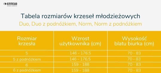 Norm nuorisotuoli harmaa Storia 31 koko 5 hinta ja tiedot | Toimistotuolit | hobbyhall.fi