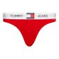 Alushousut TOMMY HILFIGER Thong (Ext Sizes) UW0UW04956XNL hinta ja tiedot | Naisten alushousut | hobbyhall.fi