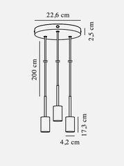 Nordlux Riippuvalaisin Paco 2112063035 hinta ja tiedot | Riippuvalaisimet | hobbyhall.fi