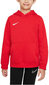 Nike Huppari NK Jr Park 20 Fleece Hoodie Red CW6896 657 CW6896 657/S hinta ja tiedot | Miesten puserot ja hupparit | hobbyhall.fi