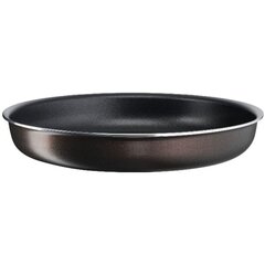 Tefal paistinpannu, 24 cm hinta ja tiedot | Paistinpannut | hobbyhall.fi