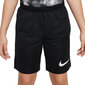 Nike Shortsit K Nk Df Trphy23 Short Gx Black FD3959 010 FD3959 010/XL hinta ja tiedot | Miesten shortsit | hobbyhall.fi