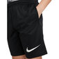 Nike Shortsit K Nk Df Trphy23 Short Gx Black FD3959 010 FD3959 010/XL hinta ja tiedot | Miesten shortsit | hobbyhall.fi