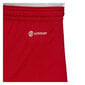 Adidas Shortsit Entrada 22 Red H61735 H61735/2XL hinta ja tiedot | Miesten shortsit | hobbyhall.fi