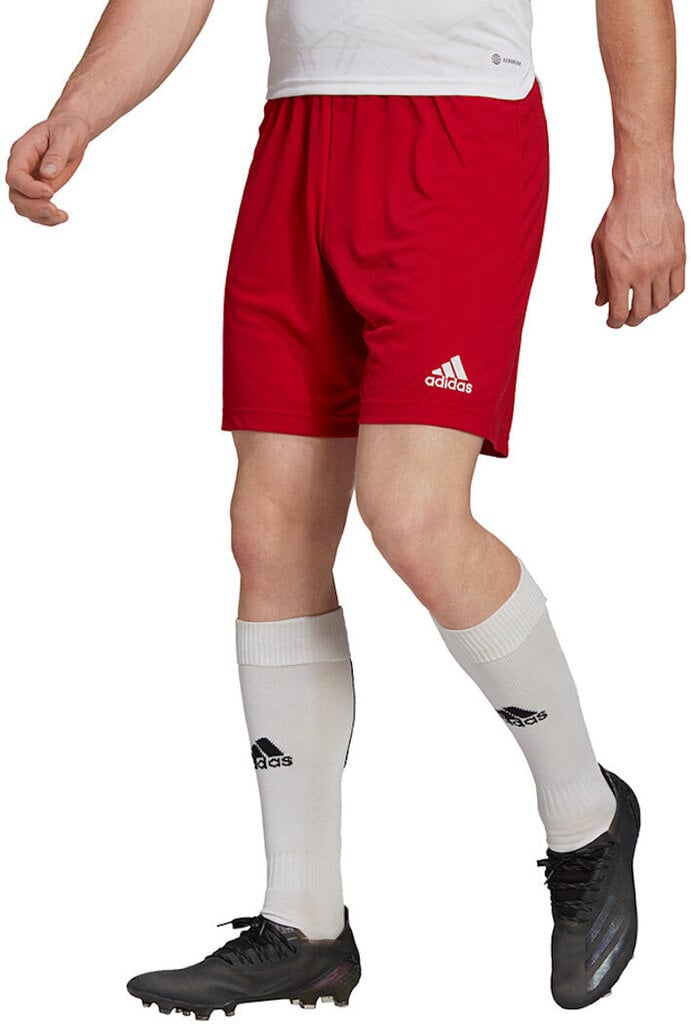 Adidas Shortsit Entrada 22 Red H61735 H61735/2XL hinta ja tiedot | Miesten shortsit | hobbyhall.fi