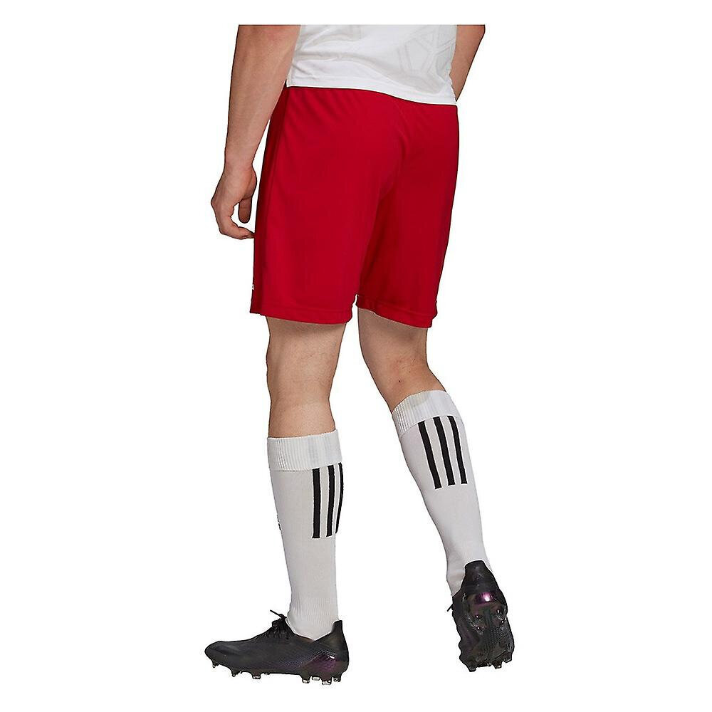 Adidas Shortsit Entrada 22 Red H61735 H61735/2XL hinta ja tiedot | Miesten shortsit | hobbyhall.fi